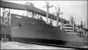 ss Alphacca