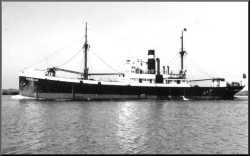 ss  Theseus