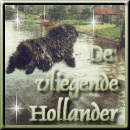 New Foundlander