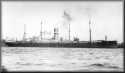 ss    Westerdijk  1916