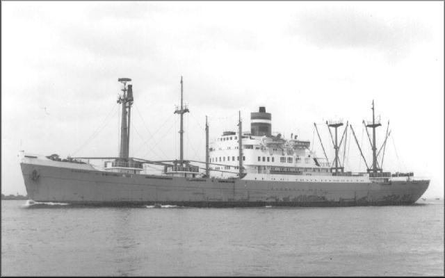 ms DINTELDIJK.