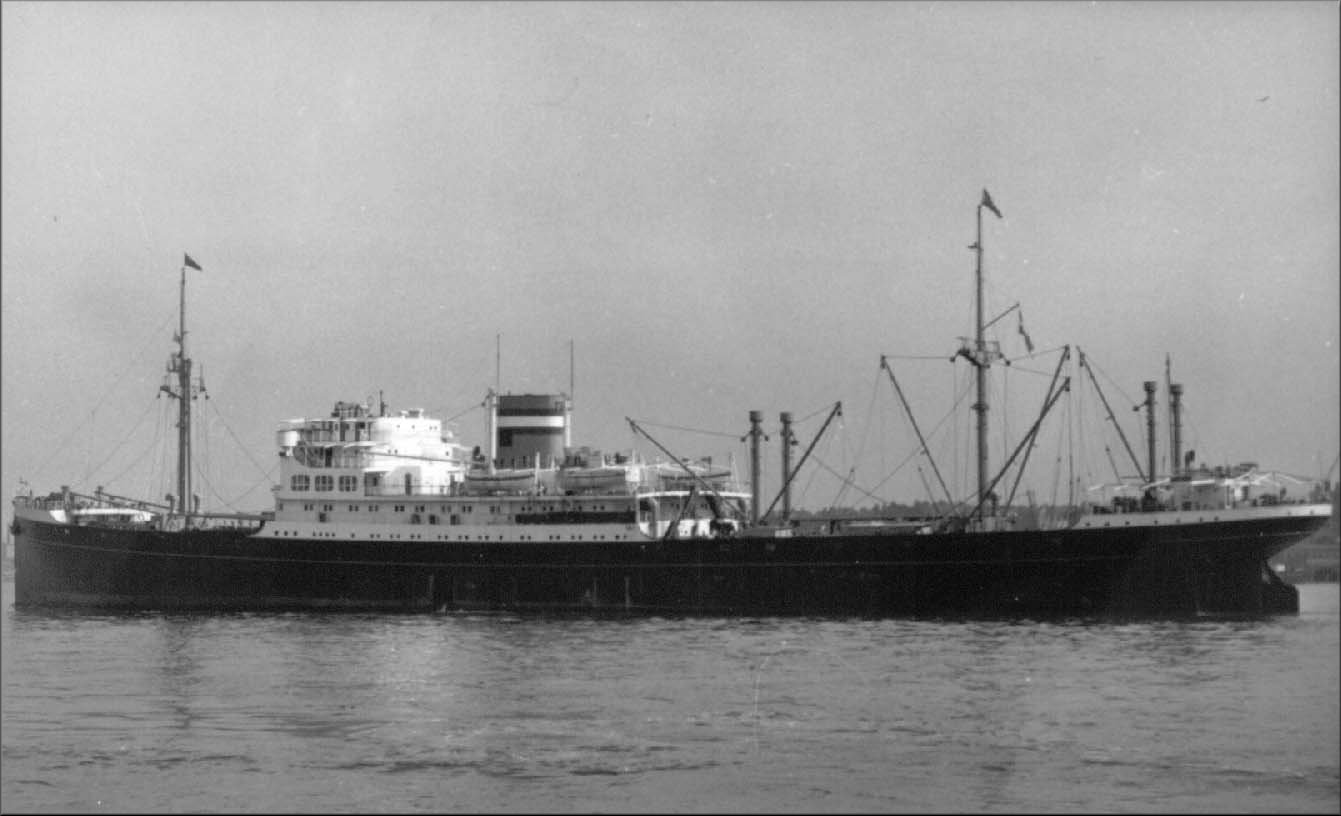 .ms  DALERDIJK.