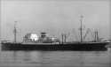 ms  DALERDIJK