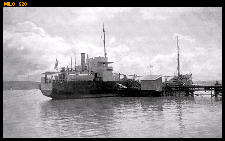 TERUG NAAR INDEX  N.I.T.