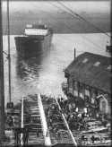 ms Noordwijk 