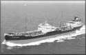 ms Schelpwijk 